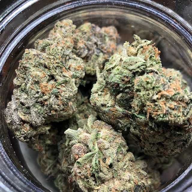 The Greenhouse of Walled Lake Website