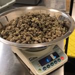 Shango Win Sivers "Airport" Website