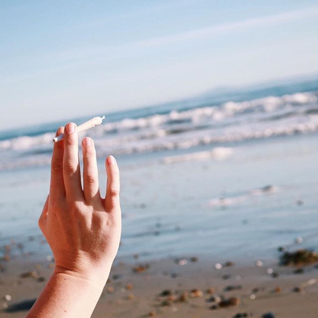 From The Earth - Santa Ana Website