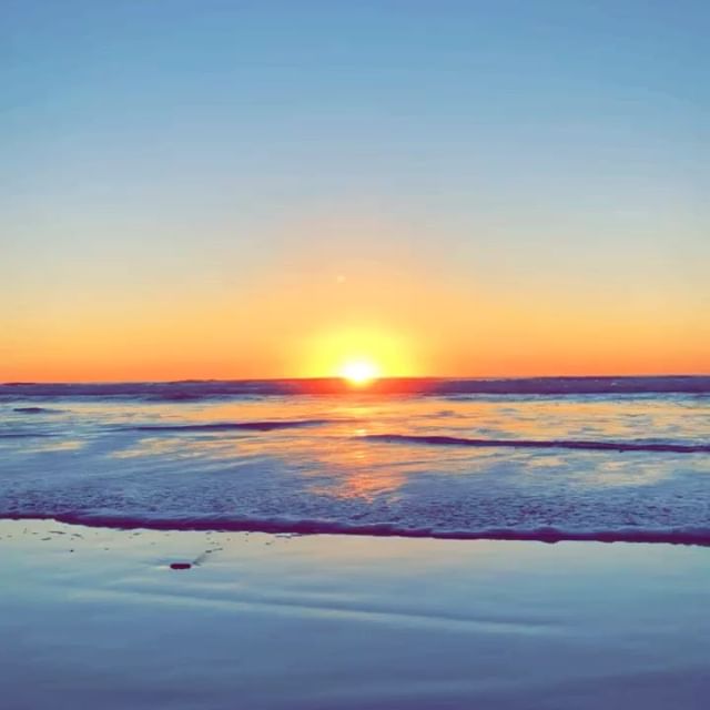 Mr. Nice Guy - State St. Website