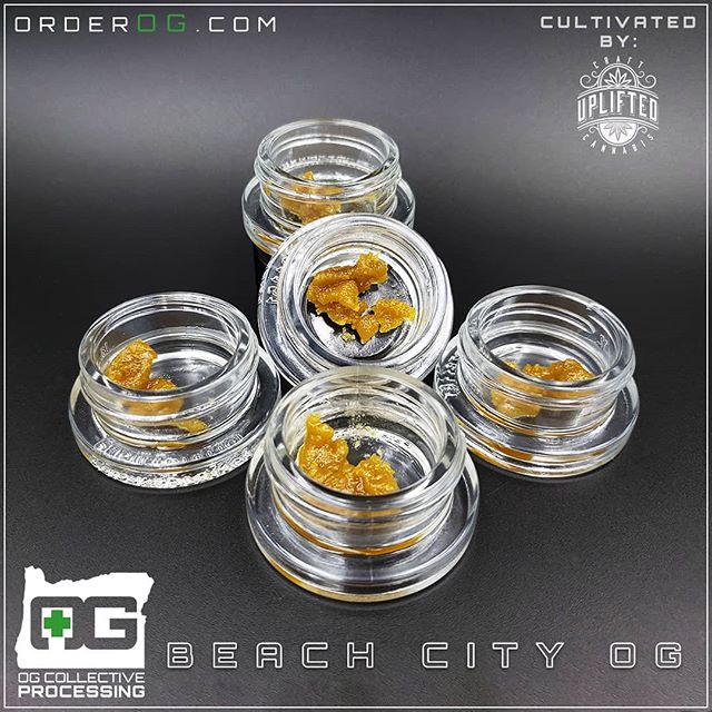 OG Collective - Hawthorne Website