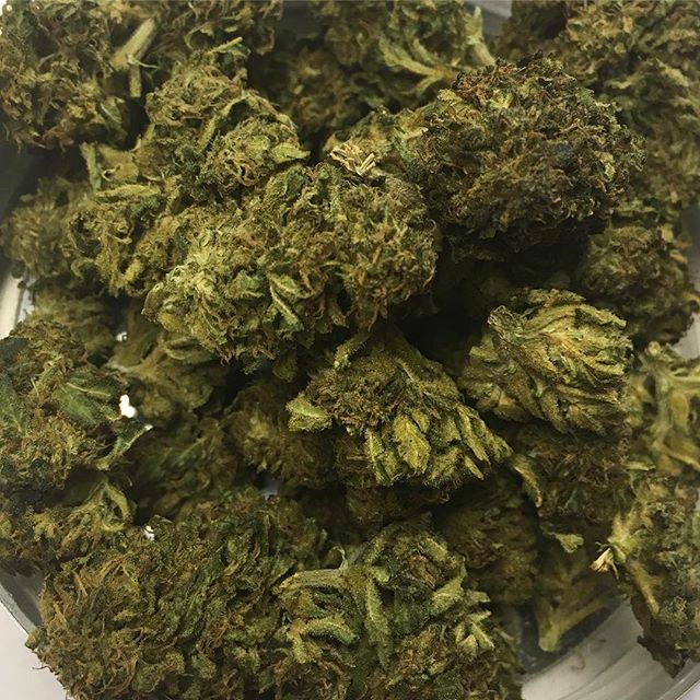 Healing Green Dispensary MMD Website