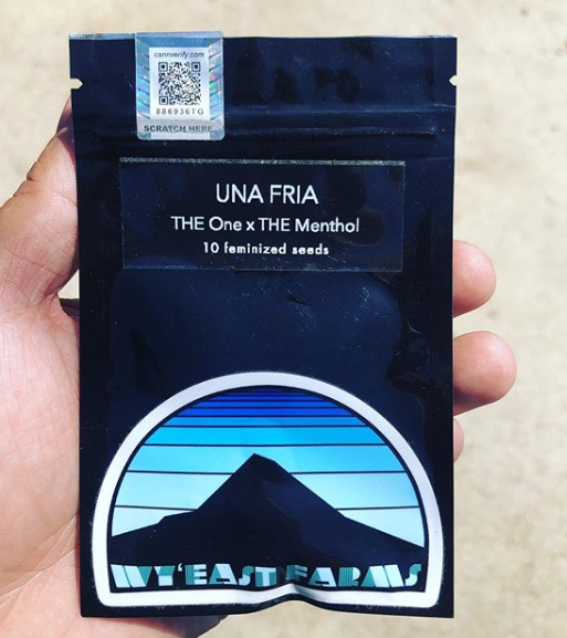 Green Elevation Delivery Website