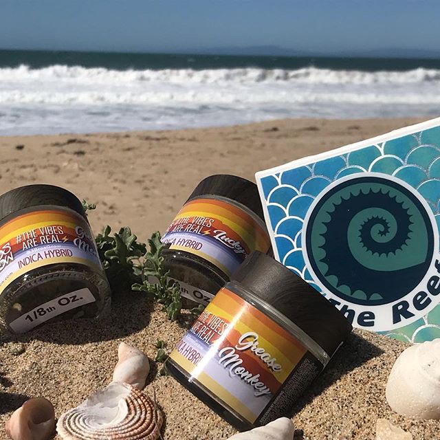 The Reef - Seaside Website