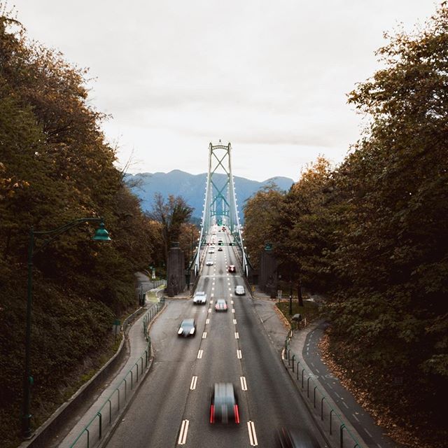 Cannabis City - Seattle Website