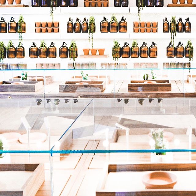 The Botanist - Middletow Website