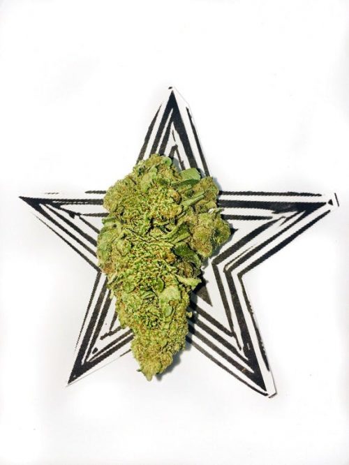 One Love Delivery Website