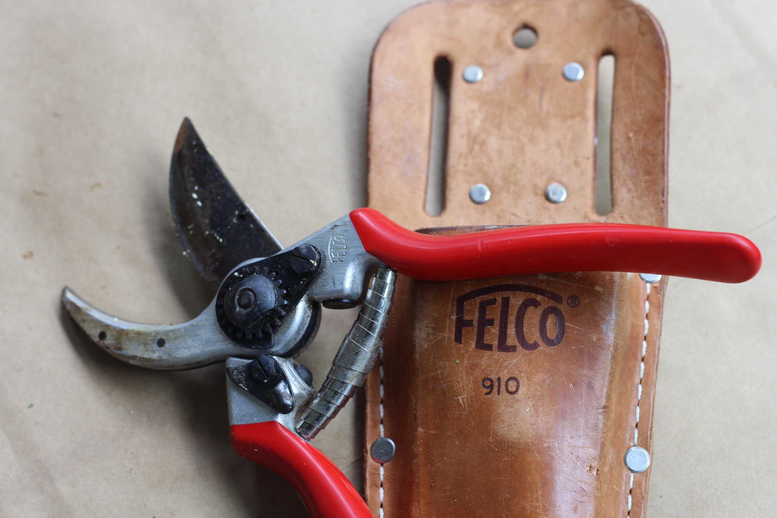 Maine Cannabis Exchange Website