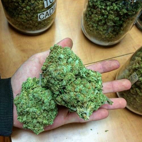 MMJDoctorOnline.com - Hayward Website