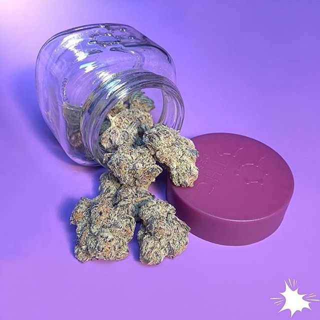 Canopy Health and Wellness Website