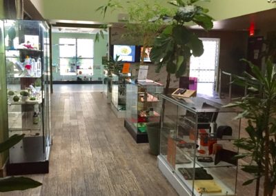 Nevada Wellness Center Website