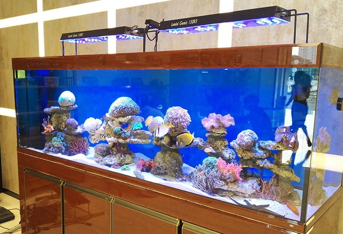 Lumini Technology Co.,Ltd Website