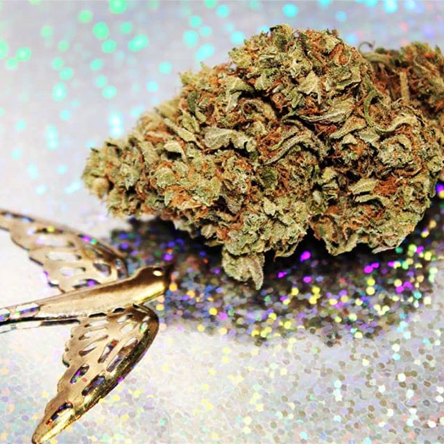 The Agrestic North Website