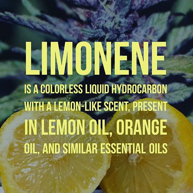 The Sequoyah Group, LLC Website