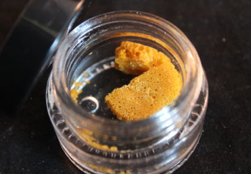 Green Fellas Website