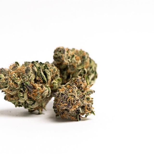 Levels - Denver Website