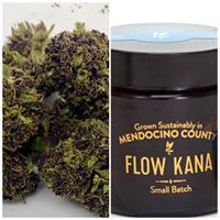 Ruby’s Green Garden (RGG LLC) Website