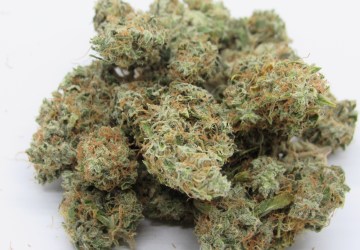 Selmer Farms Website