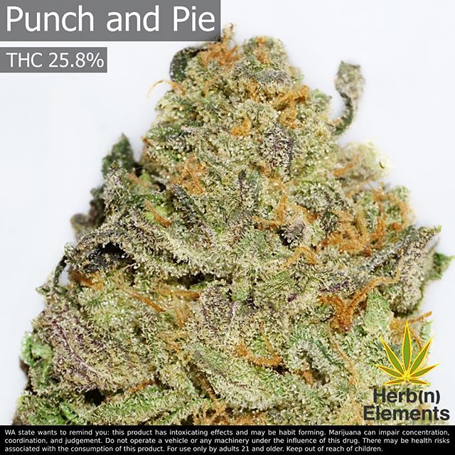 Herbn Elements – Lake City, Seattle Website