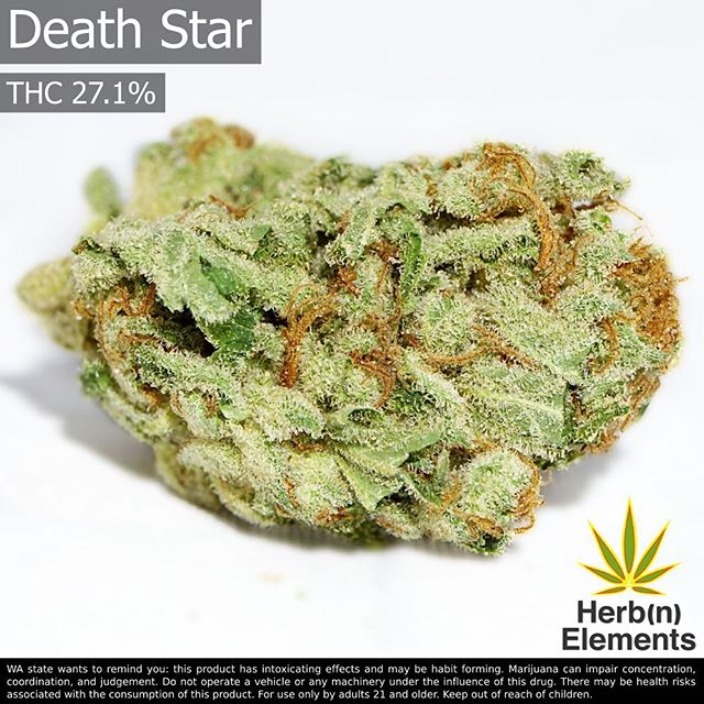 Herbn Elements – Lake City, Seattle Website