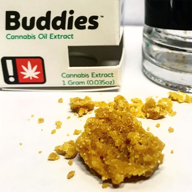 Green Oasis NE Website