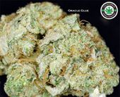 LOS ANGELES KUSH - EAST LA Website