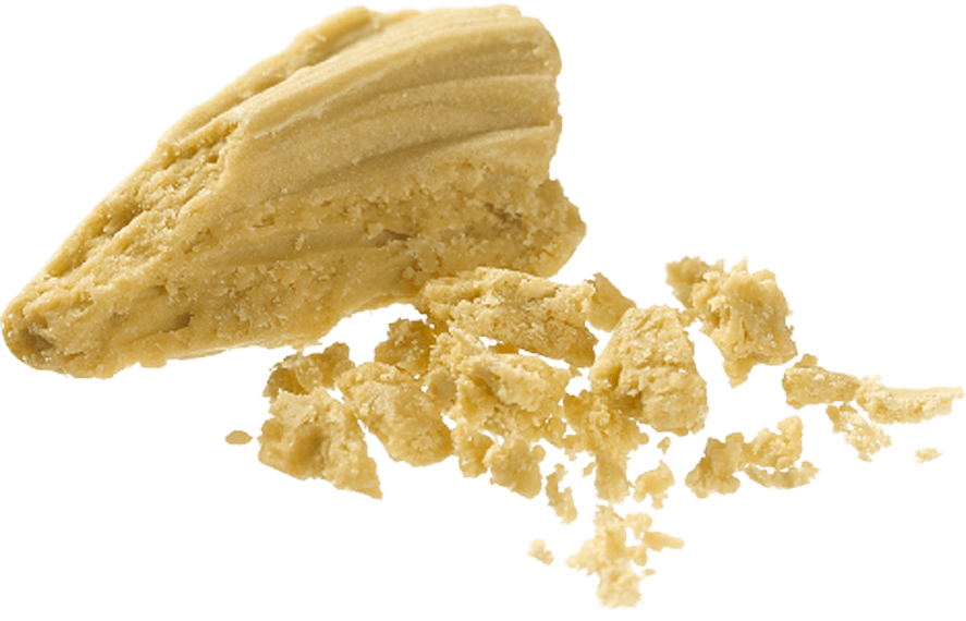 NETA - Northampton Website