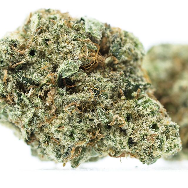 LivWell - Springfield Website