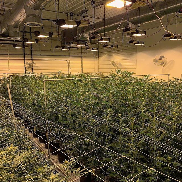 Spark1 - Bozeman Website