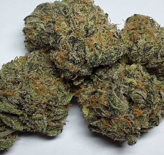 Green Envy Collective Website