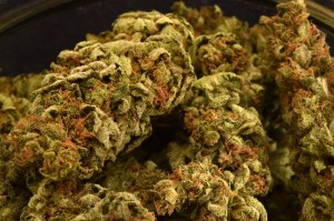 Pure Medical 2 Website