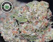 LOS ANGELES KUSH - EAST LA Website