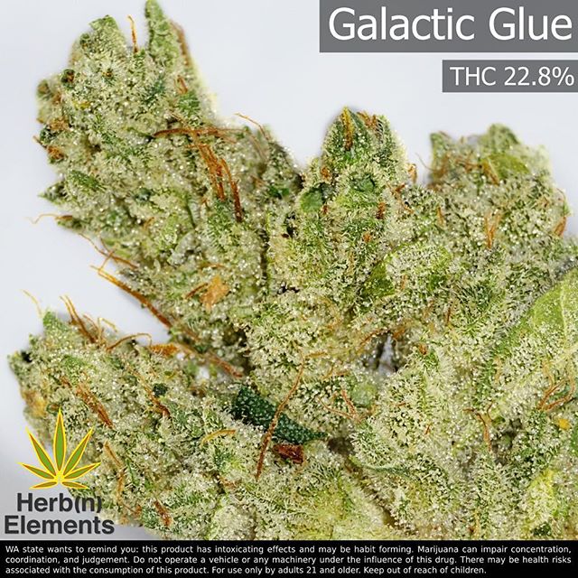 Herbn Elements – Lake City, Seattle Website