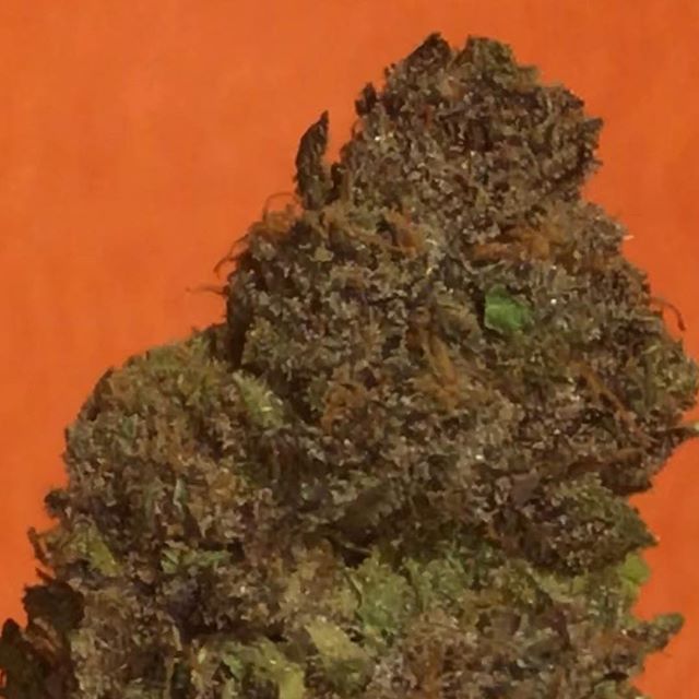 Sacred Seed Medical Dispensary Website