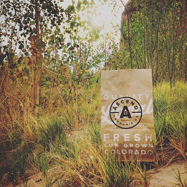 Ascend - Denver Website