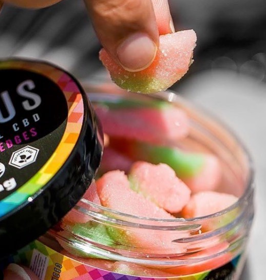 Blue Bird Delivery - Dana Point Website