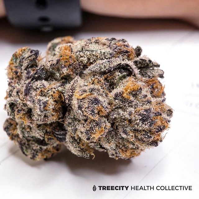 Treecity Health Collective Website