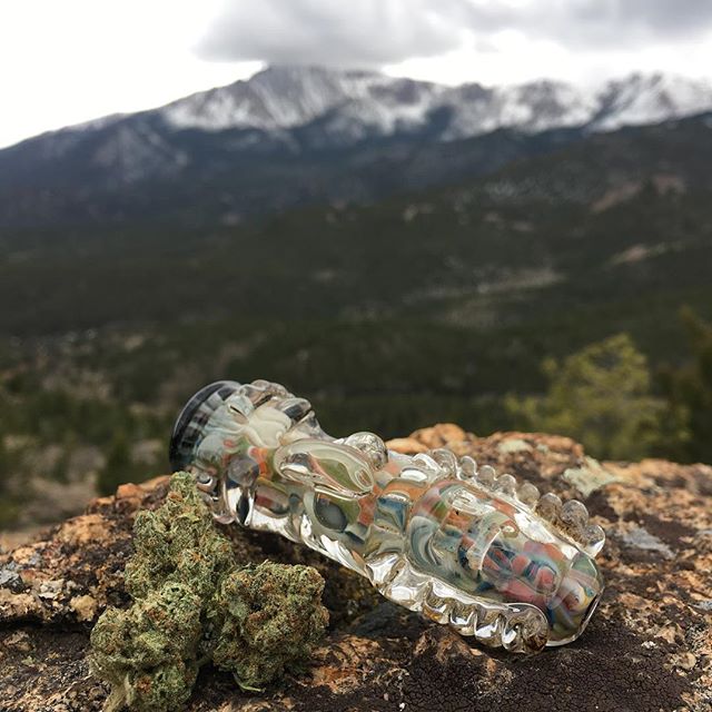 Herbal Healing Website