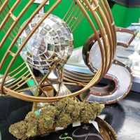 Swin Dispensaries Website
