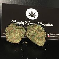 Coughy Shoppe Collective - Hayward Website