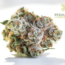 Permafrost Distributors Website