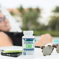 Every Day Optimal Website