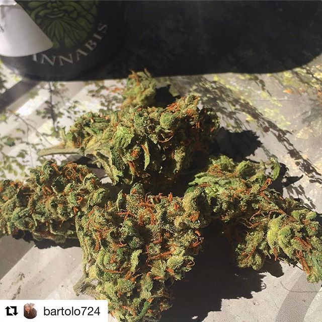 Green Man Cannabis - South Denver Website