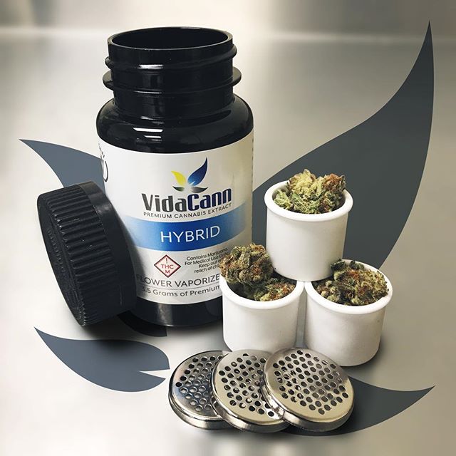 VidaCann - Tampa Website