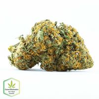 Cannawholesalers Website