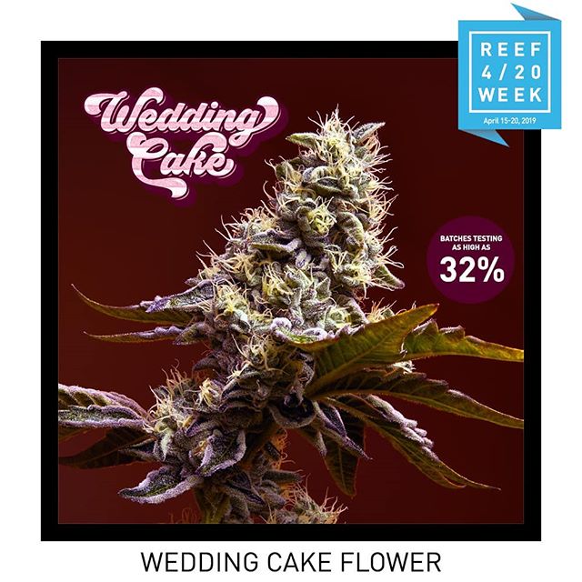 Reef Dispensaries - Queen Creek, AZ Website