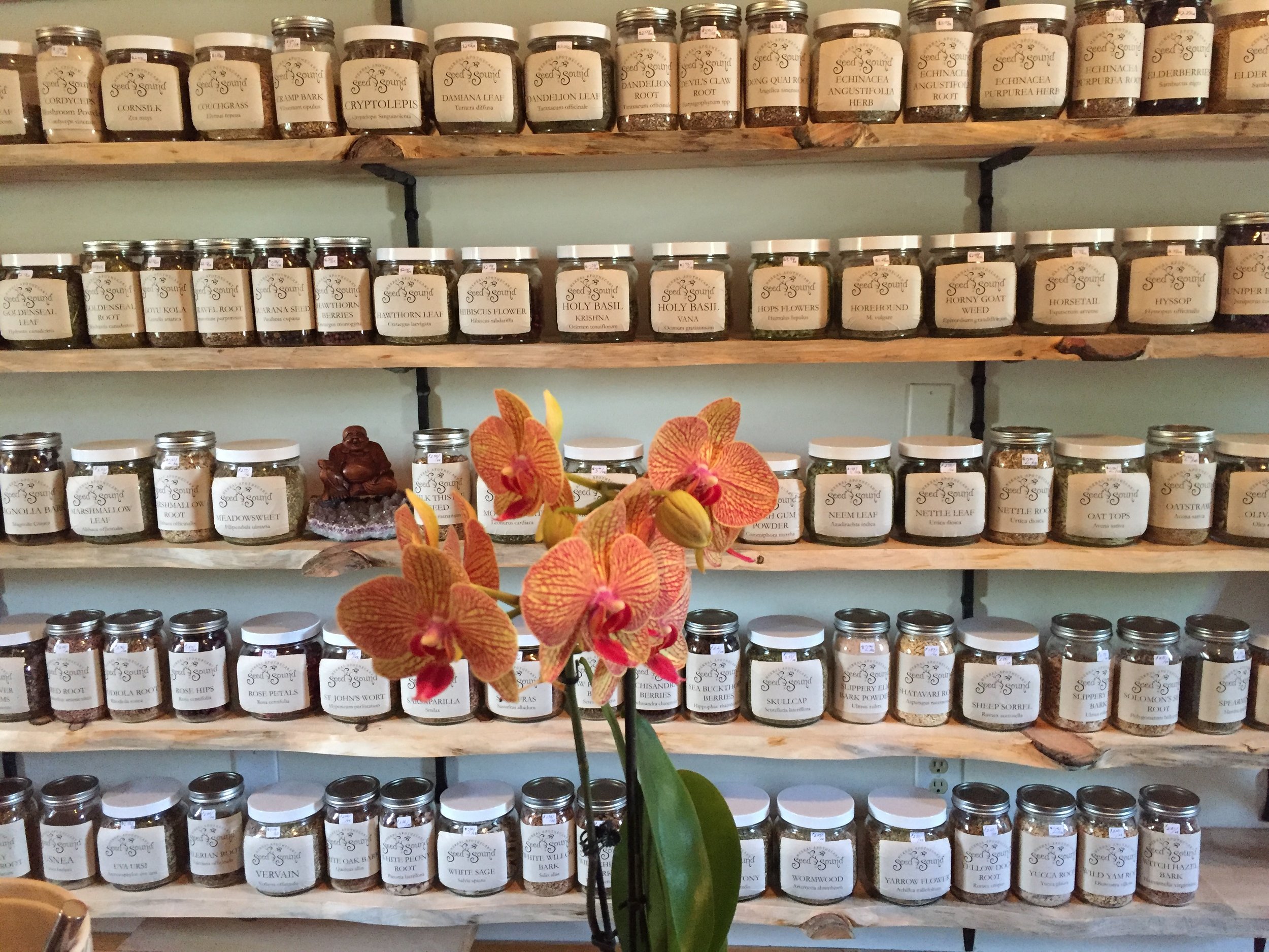 Seed Sound Herbal Apothecary Website