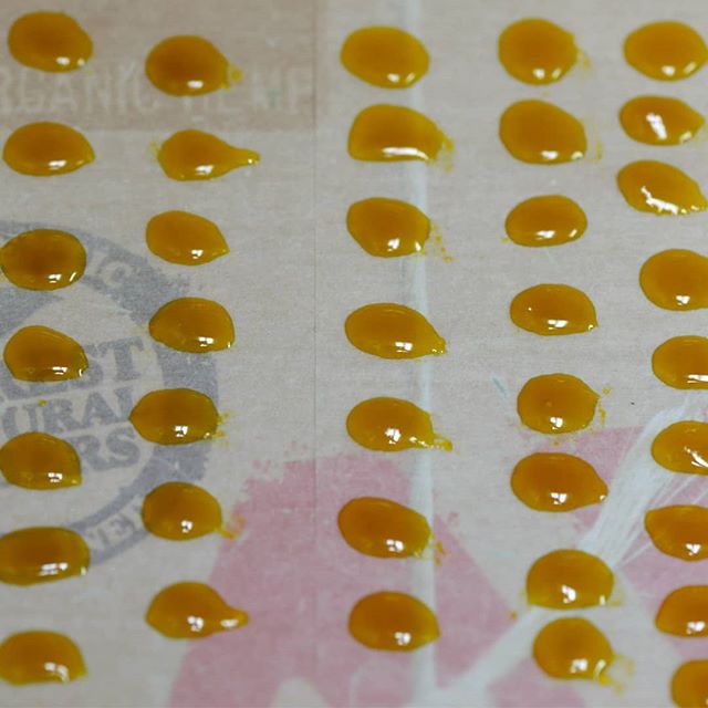 Desert Bloom Releaf Center Website