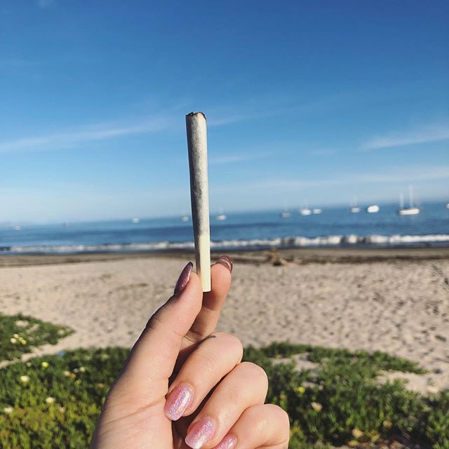 Canopy Health and Wellness Website