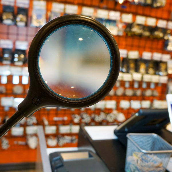 A Greener Today - Shoreline Website